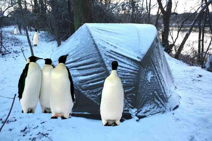 diverse - 5214995182445482177001467768581n.jpg